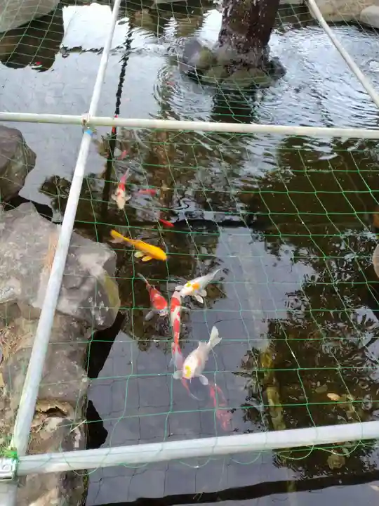 住吉神社(山梨県)