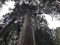 大皇器地祖神社(滋賀県)