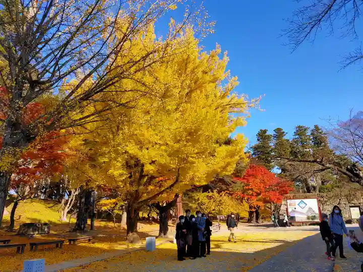 円通三匝堂(さざえ堂)(福島県)