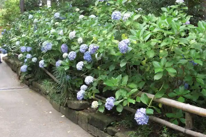 東慶寺の{uncategorized: "未分類", other: "その他", undefined: "問題あり", building: "その他建物", grave: "お墓", sacred_gate: "鳥居", guardian: "狛犬", statue: "像", buddha: "仏像", history: "歴史", nature: "自然", garden: "庭園", animal: "動物", pagoda: "塔", temizu: "手水舎", mountain_gate: "山門・神門", sanctuary: "本殿・本堂", subordinate: "末社・摂社", art: "芸術", scenery: "景色", jizo: "地蔵", ema: "絵馬", goshuin: "御朱印", omikuji: "おみくじ", items: "授与品その他", amulet: "お守り", goshuincho: "御朱印帳", eats: "食事", festival: "お祭り", votive_dance: "神楽", shichigosan: "七五三参", wedding: "結婚式", experience: "体験その他", initially: "初詣", around: "周辺", anti_infection: "感染症対策"}