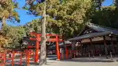 吉田神社(京都府)