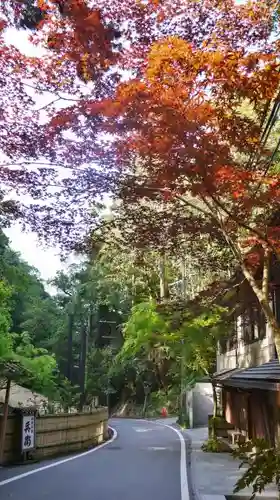 貴船神社の自然