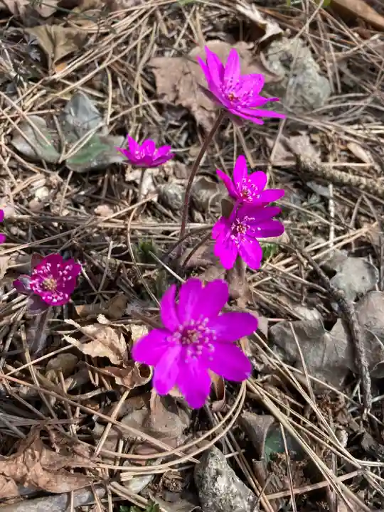 十二山神社(群馬県)