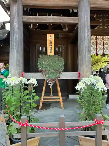 明治神宮(東京都)