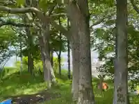 釧路一之宮 厳島神社の動物