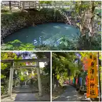 唐澤山神社(栃木県)