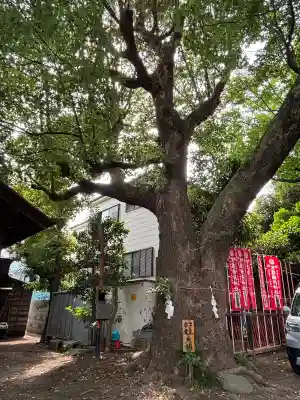 笠䅣稲荷神社(神奈川県)