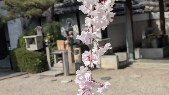 後白河院御聖蹟 法住寺(京都府)