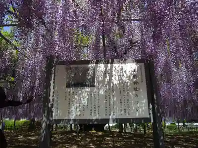 玉敷神社(埼玉県)