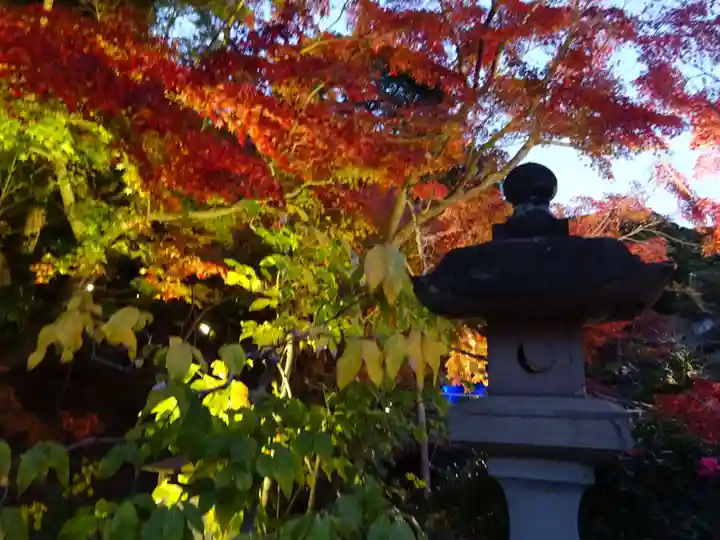 長谷寺(神奈川県)