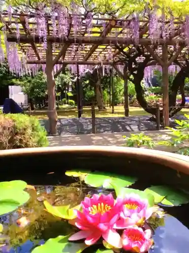 愛染院(東京都)