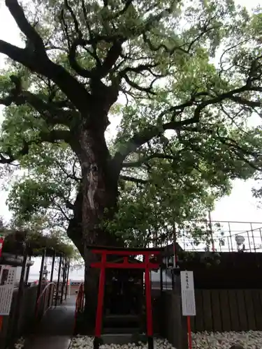 金剛宝寺（紀三井寺）(和歌山県)