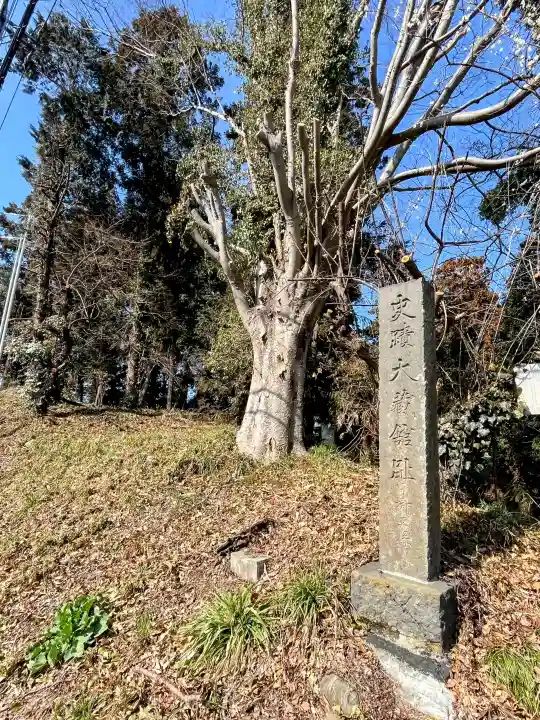 大蔵神社の{uncategorized: "未分類", other: "その他", undefined: "問題あり", building: "その他建物", grave: "お墓", sacred_gate: "鳥居", guardian: "狛犬", statue: "像", buddha: "仏像", history: "歴史", nature: "自然", garden: "庭園", animal: "動物", pagoda: "塔", temizu: "手水舎", mountain_gate: "山門・神門", sanctuary: "本殿・本堂", subordinate: "末社・摂社", art: "芸術", scenery: "景色", jizo: "地蔵", ema: "絵馬", goshuin: "御朱印", omikuji: "おみくじ", items: "授与品その他", amulet: "お守り", goshuincho: "御朱印帳", eats: "食事", festival: "お祭り", votive_dance: "神楽", shichigosan: "七五三参", wedding: "結婚式", experience: "体験その他", initially: "初詣", around: "周辺", anti_infection: "感染症対策"}