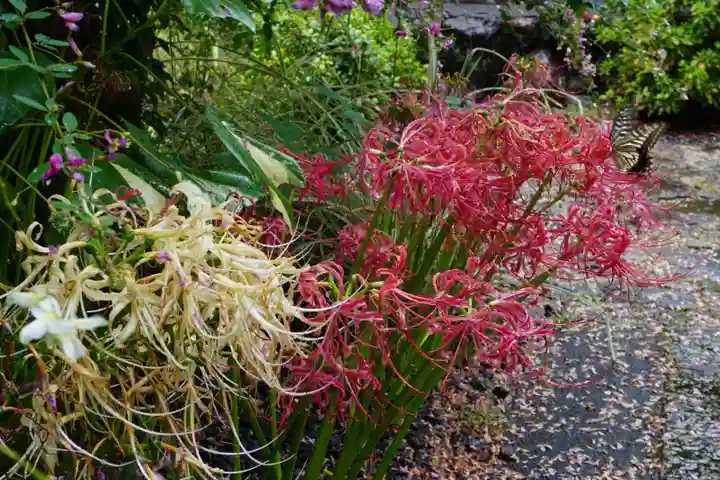 勝念寺(かましきさん)(京都府)