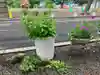 石山神社の自然