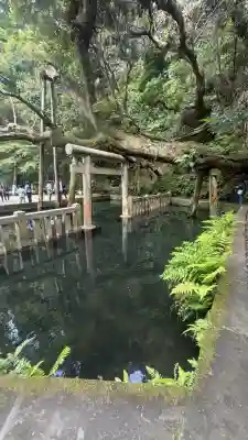 鹿島神宮(茨城県)