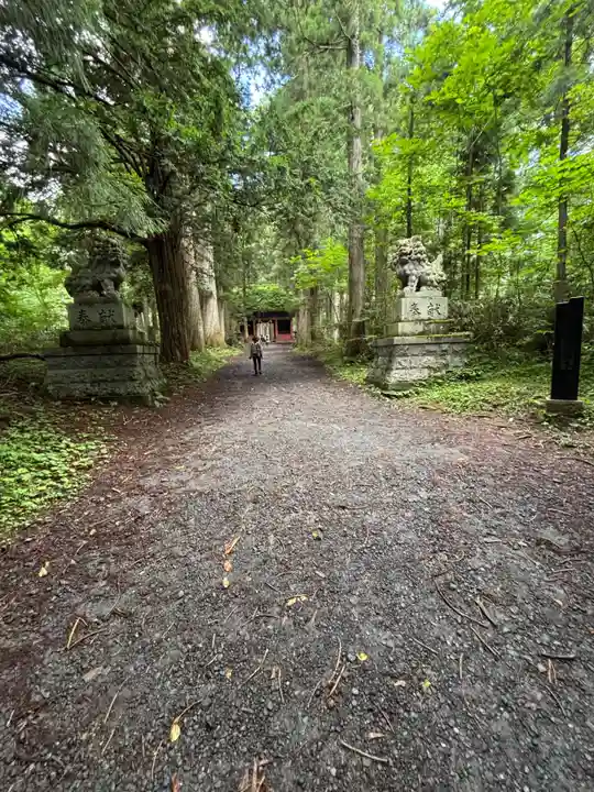 戸隠神社奥社(長野県)
