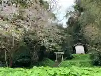 八幡神社の鳥居