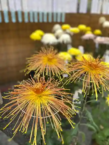 秩父神社の自然