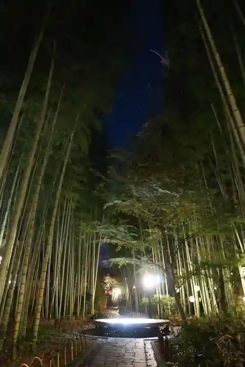 指月殿(静岡県)