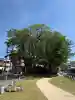 三嶋大社(静岡県)