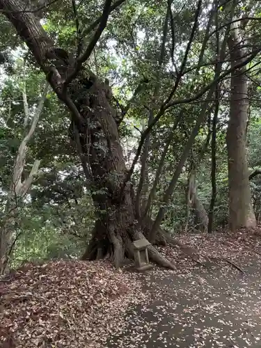 愛宕神社(千葉県)