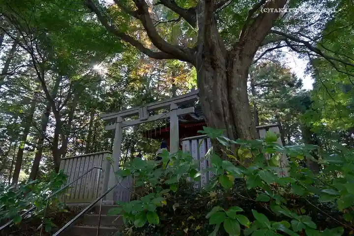 高尾山薬王院の鳥居