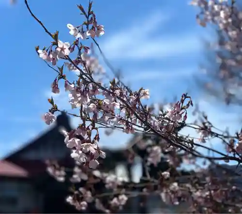 仁玄寺の自然