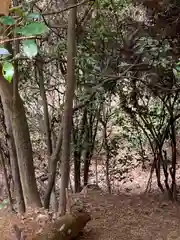 河上神社(兵庫県)