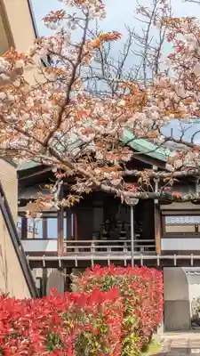 清浄華院(京都府)