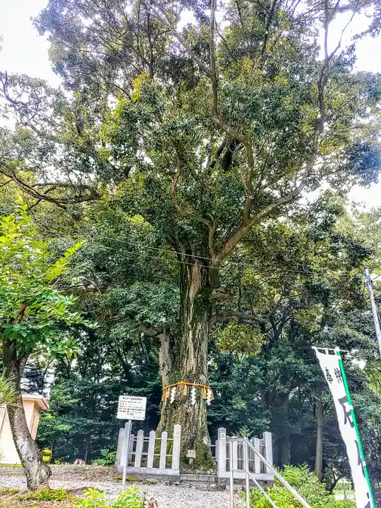 石作神社の自然