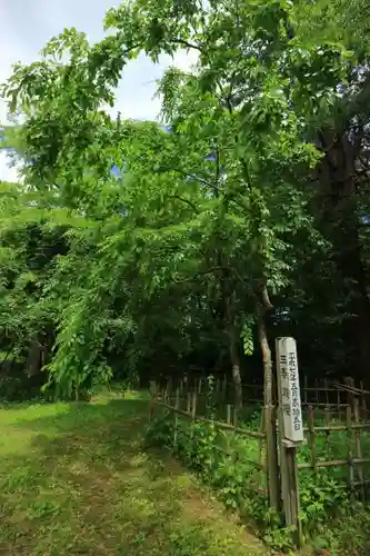 青葉神社の建物その他