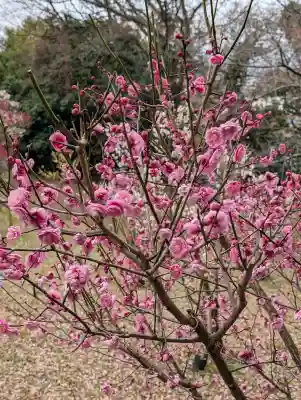 枚岡神社の{uncategorized: "未分類", other: "その他", undefined: "問題あり", building: "その他建物", grave: "お墓", sacred_gate: "鳥居", guardian: "狛犬", statue: "像", buddha: "仏像", history: "歴史", nature: "自然", garden: "庭園", animal: "動物", pagoda: "塔", temizu: "手水舎", mountain_gate: "山門・神門", sanctuary: "本殿・本堂", subordinate: "末社・摂社", art: "芸術", scenery: "景色", jizo: "地蔵", ema: "絵馬", goshuin: "御朱印", omikuji: "おみくじ", items: "授与品その他", amulet: "お守り", goshuincho: "御朱印帳", eats: "食事", festival: "お祭り", votive_dance: "神楽", shichigosan: "七五三参", wedding: "結婚式", experience: "体験その他", initially: "初詣", around: "周辺", anti_infection: "感染症対策"}
