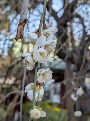 蓮華寺(東京都)