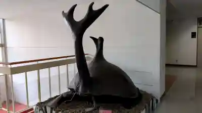 山部神社の周辺