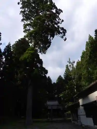 八幡神社(愛知県)