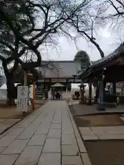 新井薬師（梅照院）の本殿