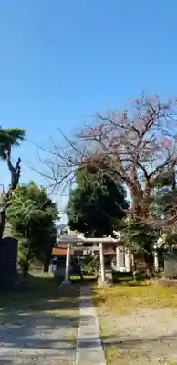 興之宮神社の鳥居