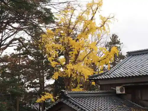 天王山 安楽寺(福井県)
