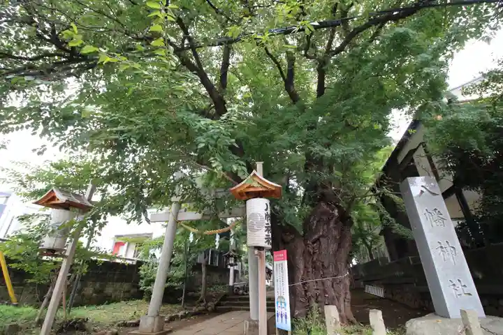 下高井戸八幡神社(東京都)
