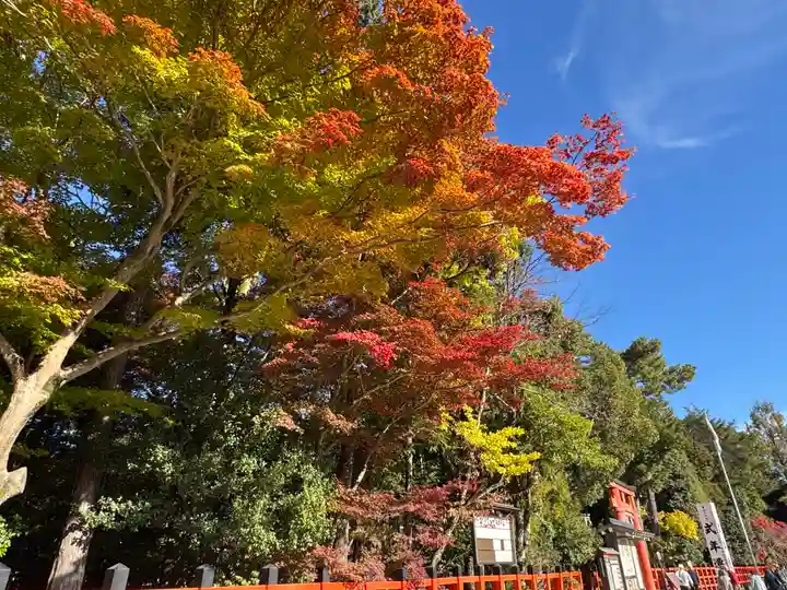 賀茂別雷神社(上賀茂神社)(京都府)