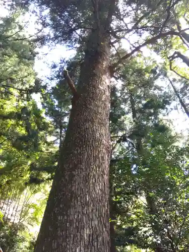 気比神社(福井県)