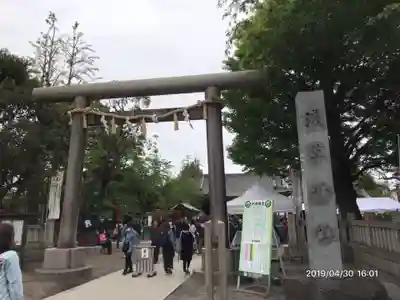 浅草神社の手水舎