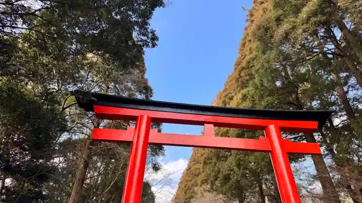 霧島神宮の{uncategorized: "未分類", other: "その他", undefined: "問題あり", building: "その他建物", grave: "お墓", sacred_gate: "鳥居", guardian: "狛犬", statue: "像", buddha: "仏像", history: "歴史", nature: "自然", garden: "庭園", animal: "動物", pagoda: "塔", temizu: "手水舎", mountain_gate: "山門・神門", sanctuary: "本殿・本堂", subordinate: "末社・摂社", art: "芸術", scenery: "景色", jizo: "地蔵", ema: "絵馬", goshuin: "御朱印", omikuji: "おみくじ", items: "授与品その他", amulet: "お守り", goshuincho: "御朱印帳", eats: "食事", festival: "お祭り", votive_dance: "神楽", shichigosan: "七五三参", wedding: "結婚式", experience: "体験その他", initially: "初詣", around: "周辺", anti_infection: "感染症対策"}