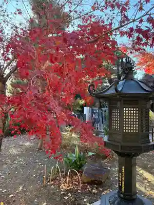 豪徳寺(東京都)