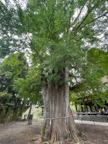 新宮熊野神社(福島県)