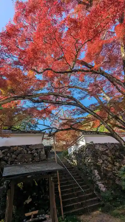 神藏寺(京都府)