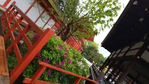 賀茂御祖神社（下鴨神社）(京都府)