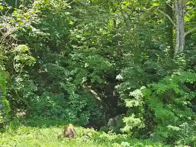 戸隠神社奥社(長野県)