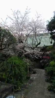 成覚寺の本殿・本堂